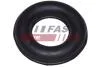 Подушка кріплення глушника Fiat Ducato (94-) 2.5 D/TD (FT84504) Fast FAST 'FT84504 (фото 1)