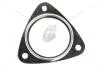 Прокладка глушителя Fiat Ducato 2.2 JTD (06-) Fast FAST FT84577 (фото 1)