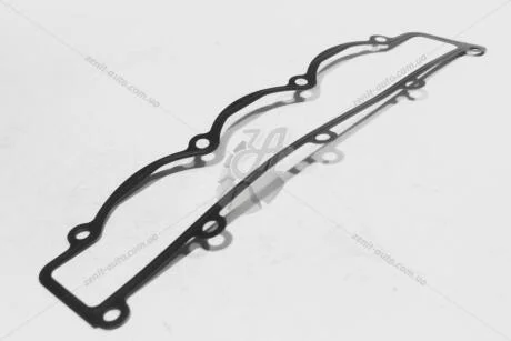 Прокладка колектора впускного Fiat Ducato 2.3D FIAT Fiat/Alfa/Lancia '504037859