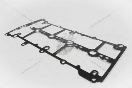 Прокладка клапанної кришки FIAT Fiat/Alfa/Lancia 55248941