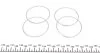 Ремкомплект супорту переднього Toyota Land Cruiser 200 (d=51mm)(Sumitomo)(+4 поршня) Frenkit FRENKIT 251935 (фото 8)
