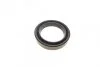 Ремкомплект супорту заднього MB Sprinter (W906)/VW Crafter 30-50 06- (d=51mm)(Bosch)(+поршень/напрямні) Frenkit FRENKIT 751378 (фото 3)