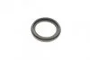 Ремкомплект суппорта переднего Hyundai Tucson/KIA Sportage (d=60mm)(Mando)(+поршень/направляющие) Frenkit FRENKIT 760570 (фото 9)