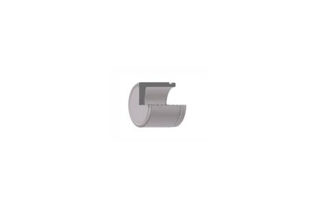Поршень супорта переднього Chevrolet Aveo (T300)/Lacetti/Hyundai Accent II (54x49mm)(Mando) FRENKIT P544904
