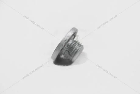 Пробка піддона Авео Т300/Cruze/Orlando GM 90502556