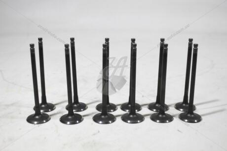 Фото 1 - клапан Epica/Evanda 2,5 впуск (кратно 12) GM 96307713 Клапан Epica/Evanda 2,5 впуск (кратно 12) GM 96307713 (фото 1)