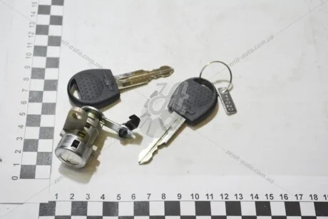 Личинка замка Авео Т250/Віда двері перед прав (седан) GM 96801559