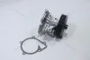 Насос водяний Ford Transit 04-/06- (GWF107A) GMB 'GWF107A (фото 4)