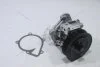 Насос водяний Ford Transit 04-/06- (GWF107A) GMB 'GWF107A (фото 8)