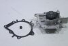 Насос водяний Ford C-Max 11-19/ Focus 10-17 2.0 TDCi GMB 'GWF121AM (фото 3)