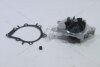 Насос водяний Ford C-Max 11-19/ Focus 10-17 2.0 TDCi GMB 'GWF121AM (фото 8)
