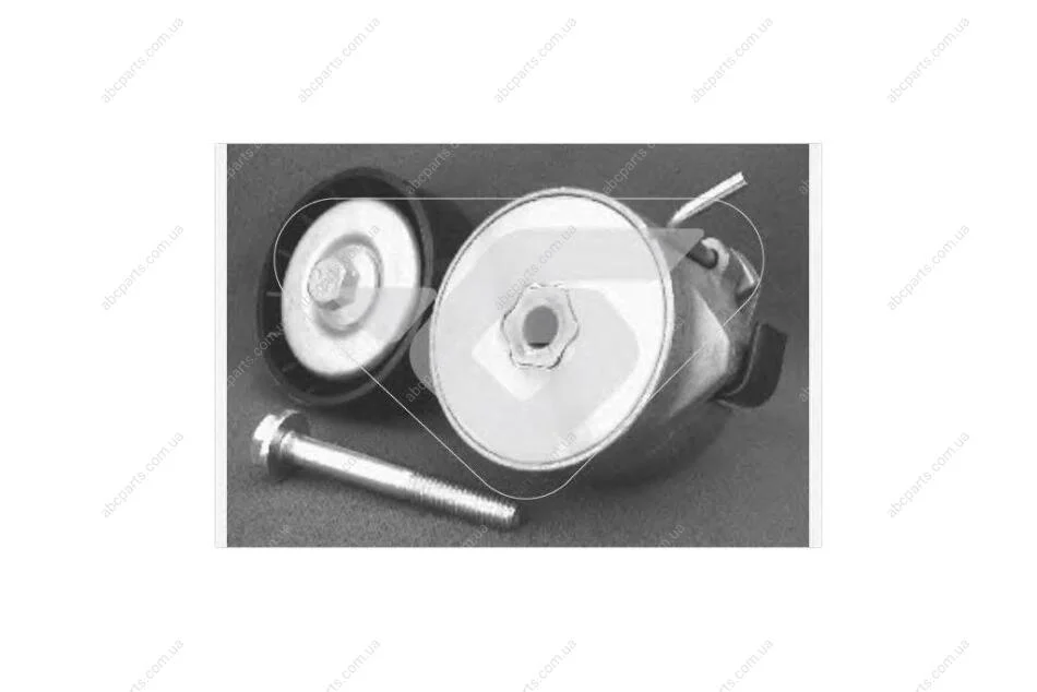 Ролик натяжной 1,4i Fiat Fiorino (08-13), Doblo (05-) Hutchinson HUTCHINSON T0206 (фото 1)