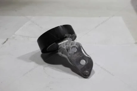 Ролик обвідний AUDI A3, Q3, TT купе II, VW Jetta (05-18) (T0653) Hutchinson HUTCHINSON 'T0653
