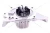 Насос водяной Fiat Scudo/Citroen Jumpy/Peugeot Expert 2.0i (00-) Hutchinson HUTCHINSON WP47 (фото 1)