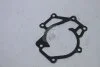 Прокладка насоса водяного Mobis Hyundai/Kia/Mobis 25126-4A000 (фото 1)