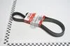 Ремінь генератора 6PK1281 Mobis Hyundai/Kia/Mobis 25212-2E820 (фото 1)