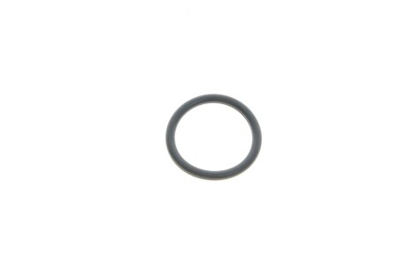 Кільце ущільнювача шланга системи охолодження Mobis Hyundai/Kia/Mobis 25462-21010