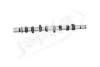 Вал распределительный Renault Duster, Logan, Sandero, Clio, Fluence, Scenic, Kangoo, Megane, Modus, Symbol, Twingo 1.5D (6RE002) JAPKO '6RE002 (фото 1)