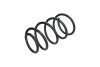 Пружина підвіски передня (кратно 2) Hyundai Accent III (05-)/KIA Rio II (05-) JAPKO 'ZCJ3209G (фото 1)