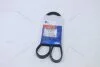 Ремень кондиціонеру Матиз 0,8/Spark KAP KAP (KoreaAutoParts) 'KG1100011 (фото 1)