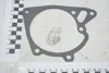 Прокладка насоса водяного (25124-42060) KAP KAP (KoreaAutoParts) KM0400251NA (фото 1)