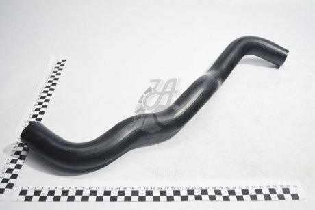 Патрубок радиатора нижний 25412-1F350 KAP KAP (KoreaAutoParts) KM0600536