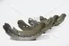Колодки гальмівні зад барабан 58305-3CA00 Kia Optima, Magentis (00-) KAP KAP (KoreaAutoParts) KM0703512 (фото 1)