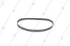 Ремінь Hyundai/Kia (24312-26050) KAP KAP (KoreaAutoParts) KM1100021 (фото 1)