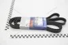 Ремень струмочковий 6PK2584 (25212-25000) KAP KAP (KoreaAutoParts) KM1100058 (фото 1)