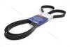 Ремень поликлиновый (25212-2B000) (6PK2137) Solaris (10-), Rio (11-) (KM1100182) KAP KAP (KoreaAutoParts) 'KM1100182 (фото 1)