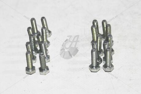 Болт 6х20 брызговика зад 2101 (кратно 20) Метиз-Авто Vin-1013