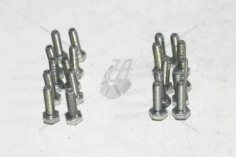 Болт 6х20 брызговика зад 2101 (кратно 20) Метиз-Авто Vin-1013