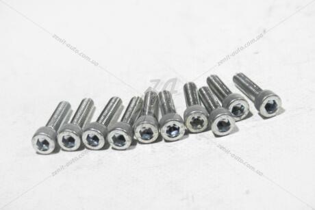Болт 6х25 внутр шестигранник (8,8 ПР) (цинк) (кратно 10) Метиз-Авто Vin-4004
