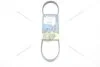 Ремінь поліклиновий Chevrolet Matiz (05-13) 0.8i/ Ford Transit (00-06) 2.0d/ Renault Clio II 1.2i (4PK735) MICHELIN '4PK735 (фото 2)