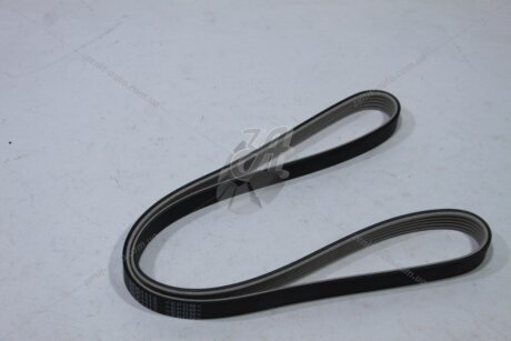 Ремінь поліклиновий (тефлон) Renault Clio II 1.4, 1.6i, Logan I 1.4, 1.6i/ Hyundai Santa Fe I 2.0, 2.4i MICHELIN '5PK1113