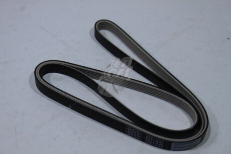 Ремінь поліклиновий (тефлон) Hyundai Terracan (01-06) 2.9d/ VW Passat B5 1.9d MICHELIN '5PK1590