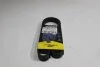 Ремінь поліклиновий Fiat Doblo (01-) 1.9d/ Skoda Oactavia II 2.0 TFSI (6PK1053) MICHELIN '6PK1053 (фото 2)