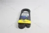 Ремінь поліклиновий Audi A4 (B7), A6 (C6) 2.0d/ VW Crafter 30-50 (11-16) 2.0d (6PK1613) MICHELIN '6PK1613 (фото 1)
