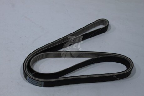 Ремінь поліклиновий (тефлон) Toyota Corolla (06-13), Auris (07-12) 1.4i/ VW Jetta (III,IV) 1.4 TSI MICHELIN '6PK1700