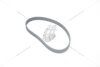 Ремінь ГРМ Audi A6 C6/ VW Touareg (04-10) 2.7, 3.0d MICHELIN '83RU24 (фото 7)