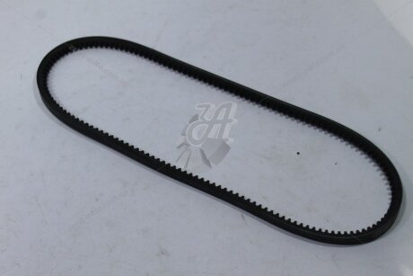 Ремінь клиновий VW, Citroen, Fiat, BMW, Audi MICHELIN 'AV10X865