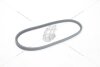 Ремінь клиновий VW Caddy II, Sharan (95-10) 1.9d (AV11.5X730) MICHELIN 'AV11.5X730 (фото 6)