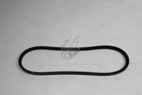 Ремінь клиновий Hyundai Terracan (01-06) 2.9d/ Ford Transit (94-00) 2.5d/ Toyota Avensis (T22) 2.0d (AV13X975) MICHELIN 'AV13X975