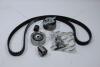 Комплект ременя ГРМ Audi A4 B8, A6 C7 2.0d/ Skoda Octavia II 1.6, 2.0d/ VW CC (B7), Caddy (III,IV) 1.6, 2.0d MICHELIN 'FM010649 (фото 7)