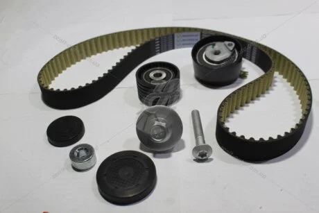 Комплект ременя ГРМ Renault Kangoo (01-), Megane (II,III), Logan (07-) 1.4, 1.6i 16V (FM010671) MICHELIN 'FM010671