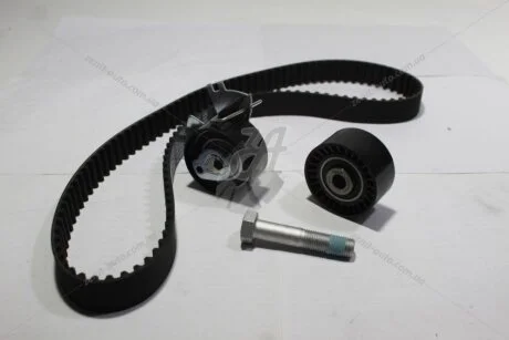 Комплект ременя ГРМ Ford Mondeo IV, Kuga (I,II)/ Fiat Scudo (10-16) 2.0d (FM010672) MICHELIN 'FM010672