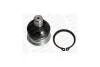 Опора кульова передняя нижня OPEL AGILA (B) (H08) 08-14/SUZUKI SPLASH (EX) 08- MONROE L69508 (фото 1)