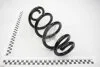 Пружина подвески задняя Nissan X-Trail 2.0,2.5 (14-) (C5N-43332) OBK C5N43332 (фото 1)