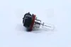 Лампа галогенная H9 12V 65W OSRAM 64213 (фото 3)