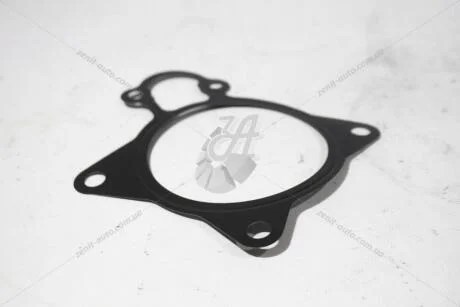 Ущільнювач помпи Citroen Jumper3/Peugeot Boxer3 (1206 F1) Citroen/Peugeot Peugeot/Citroen 1206F1